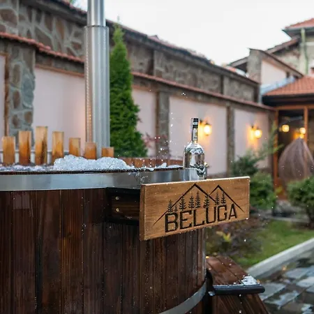 Beluga * Velingrad