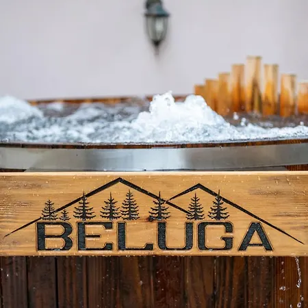 Beluga Гостевой дом