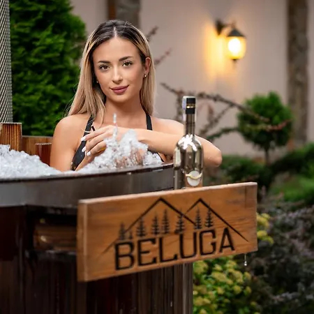 Beluga 3*