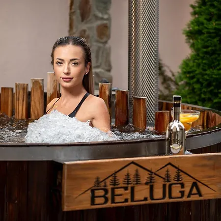 Beluga 게스트하우스 벨린그래드