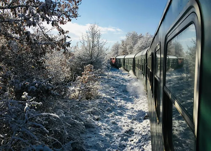 Гостевой дом Beluga Велинград